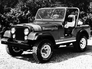 Jeep CJ-5 Renegade 1979 года